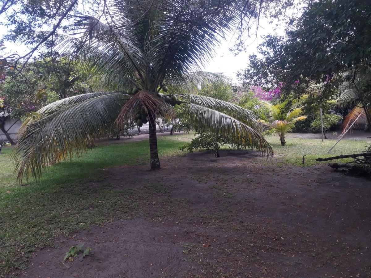 Refugio Das Bouganvillea Igarassu ภายนอก รูปภาพ